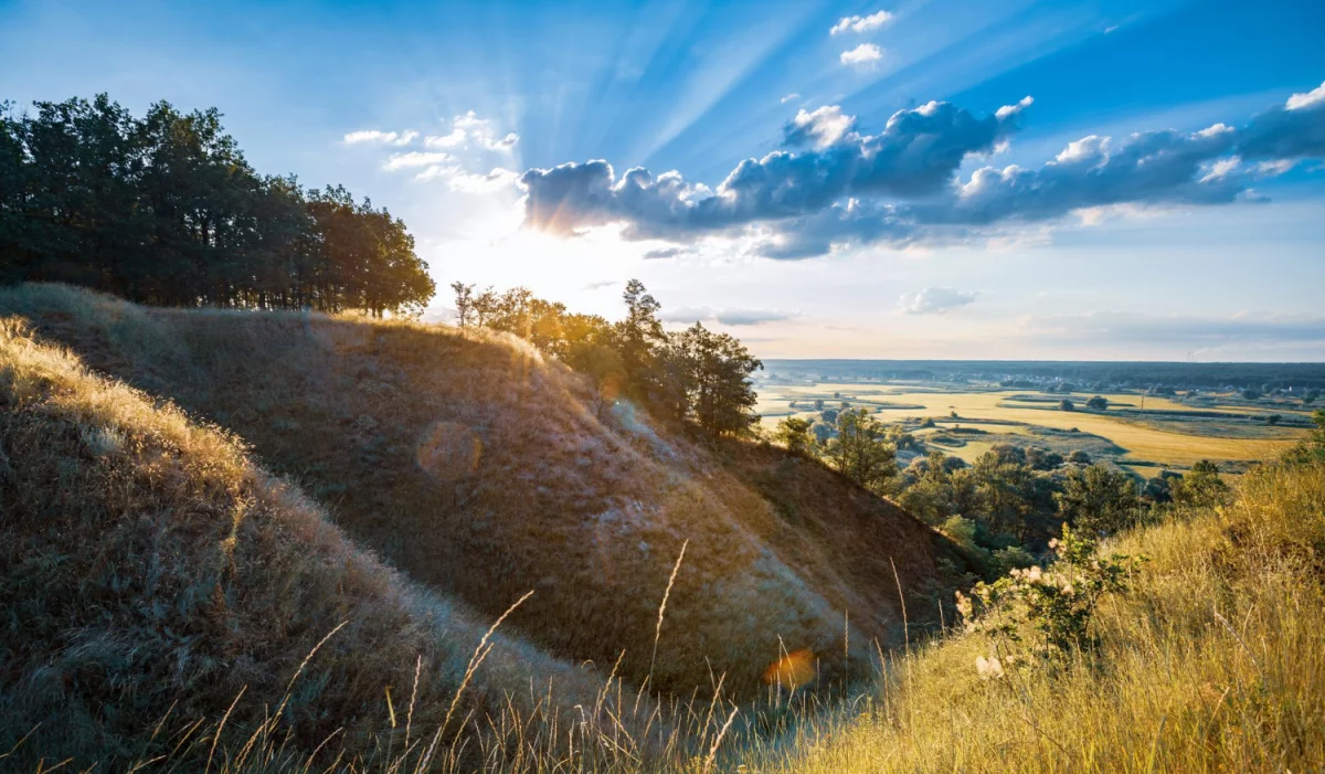 Te porady jak wdrożyć eudr zaskoczą nawet profesjonalistę!
