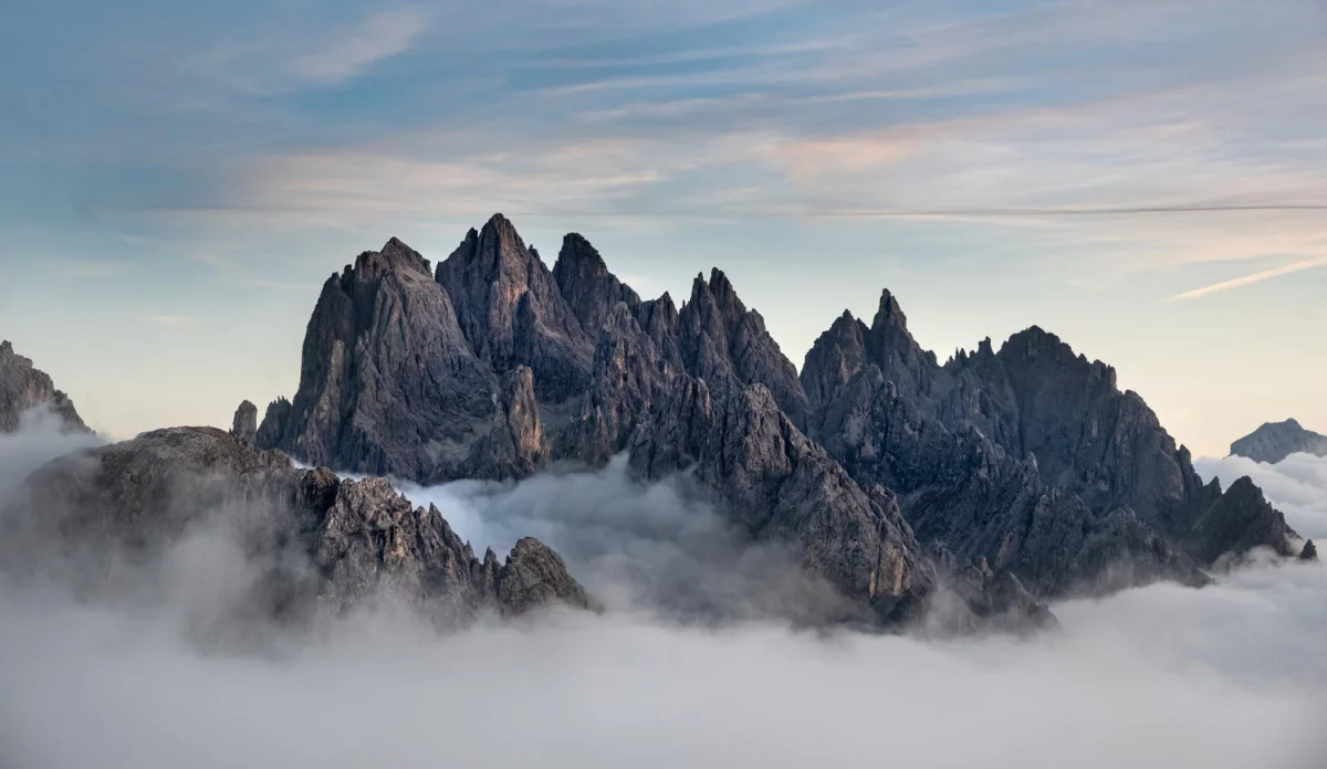 robić biznes? Dokładnie!
